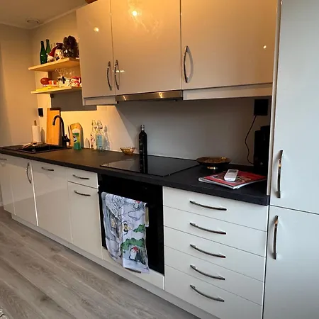 Big And Modern Penthouse - 1 Min From Train Station