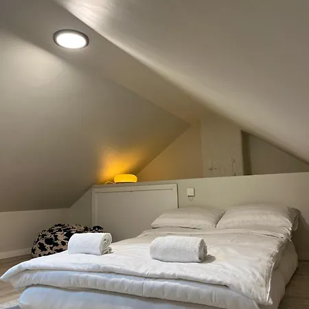 Elegant Penthouse - 1 Min To Train Station - Balcony Apartment Voss